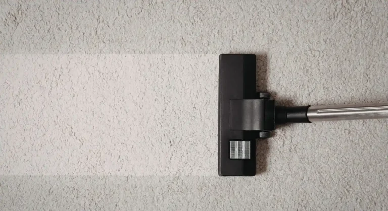 How Often Carpet Should Be Replaced